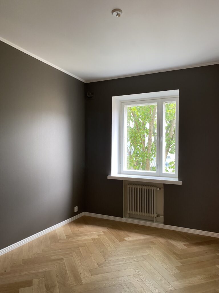 seinien maalaus helsinki
